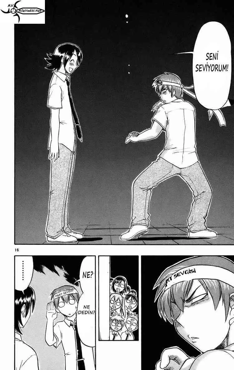 Sayfa 17