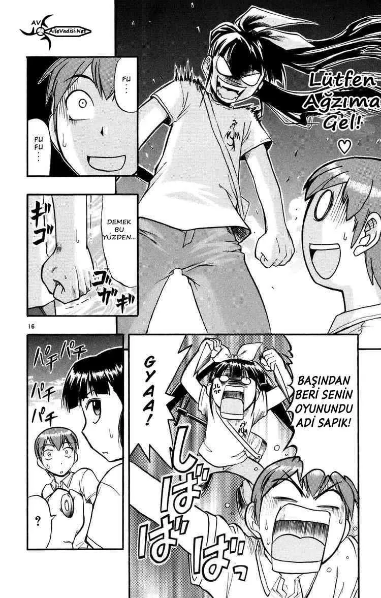 Sayfa 17