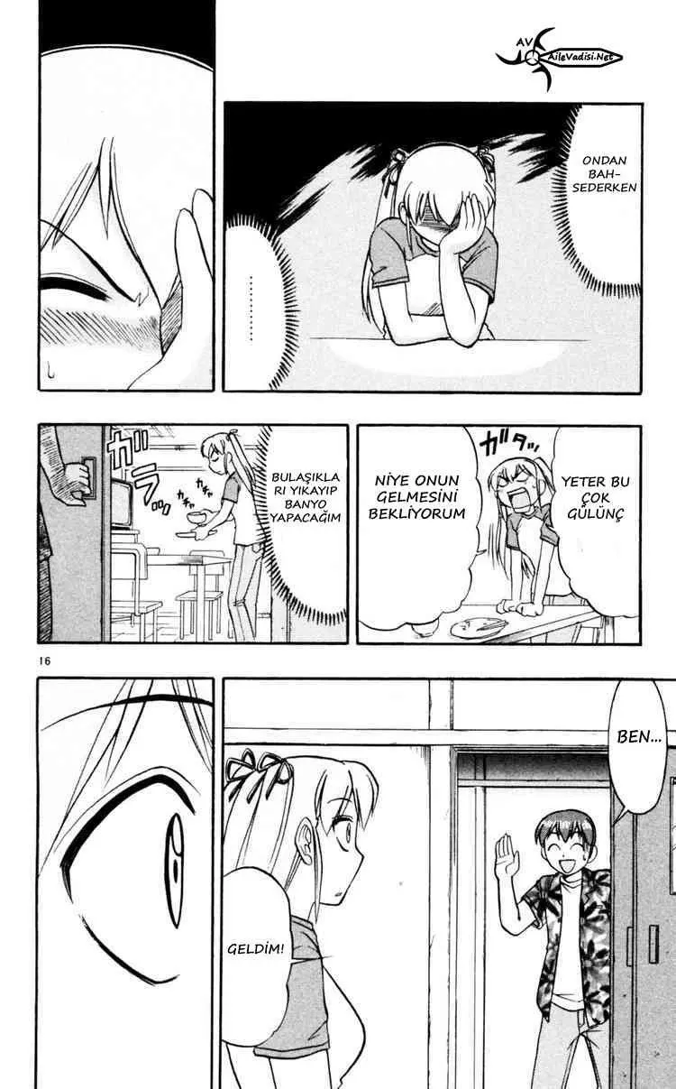 Sayfa 17