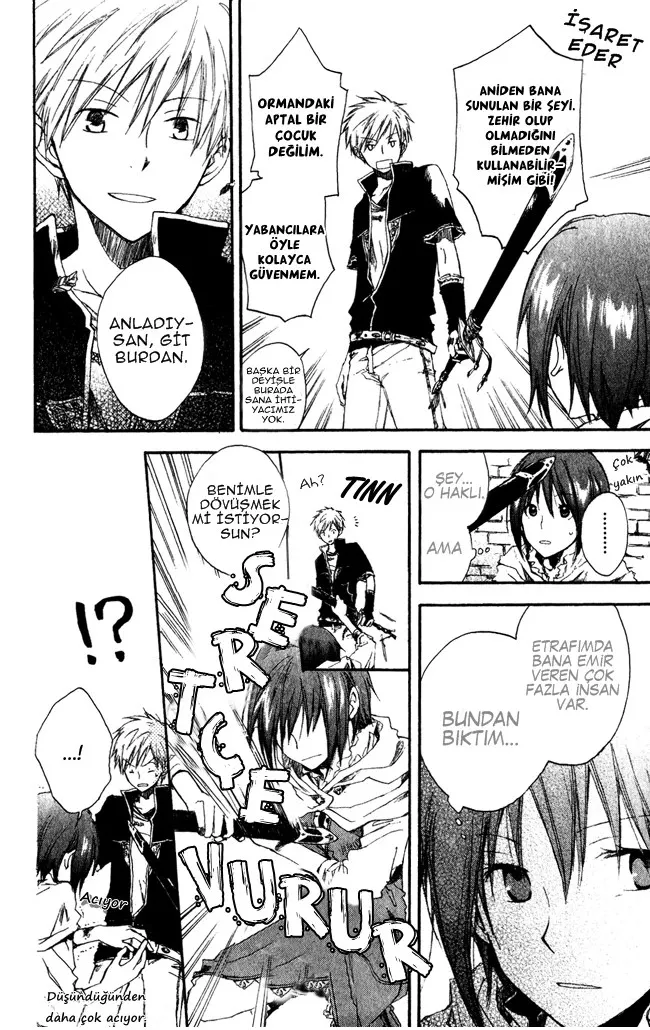 Sayfa 13