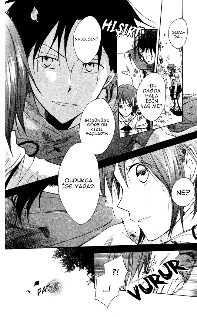 Sayfa 13