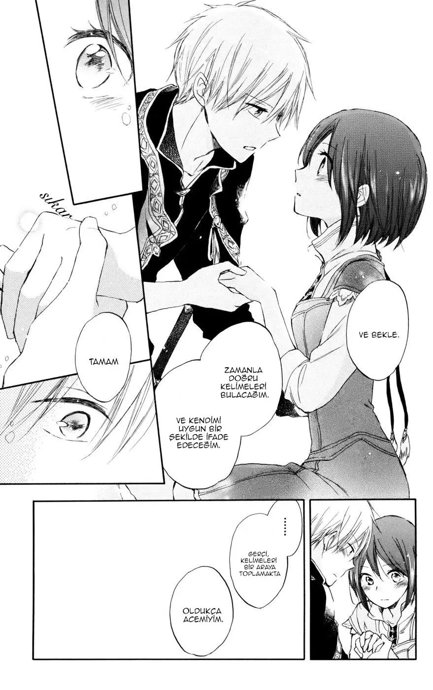 Sayfa 21