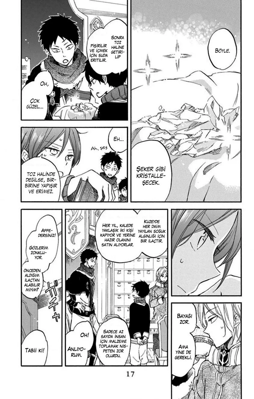 Sayfa 17