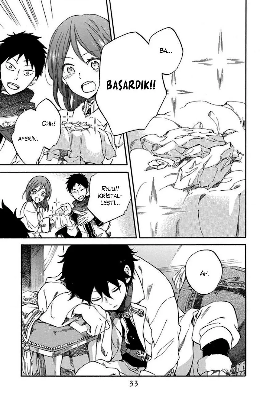 Sayfa 33