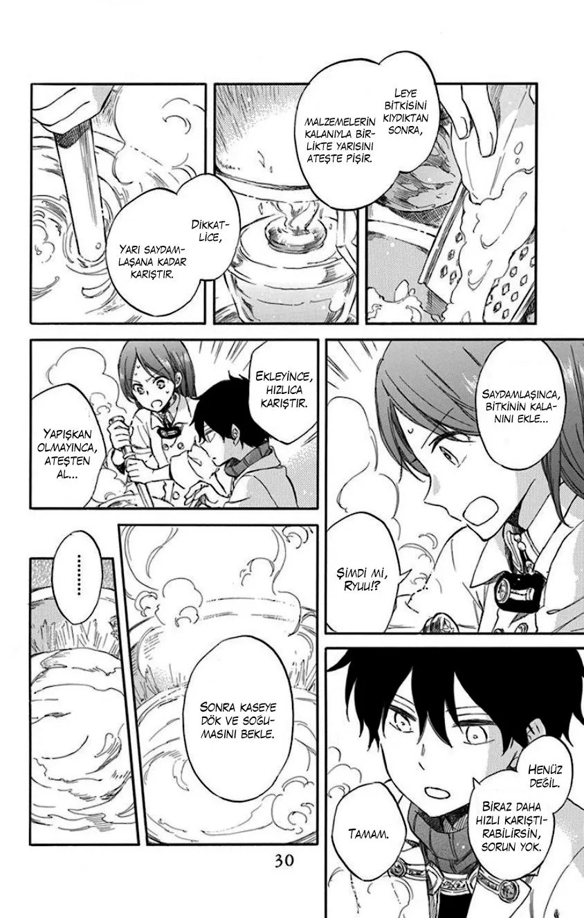 Sayfa 30