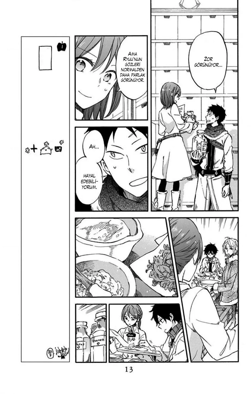 Sayfa 13