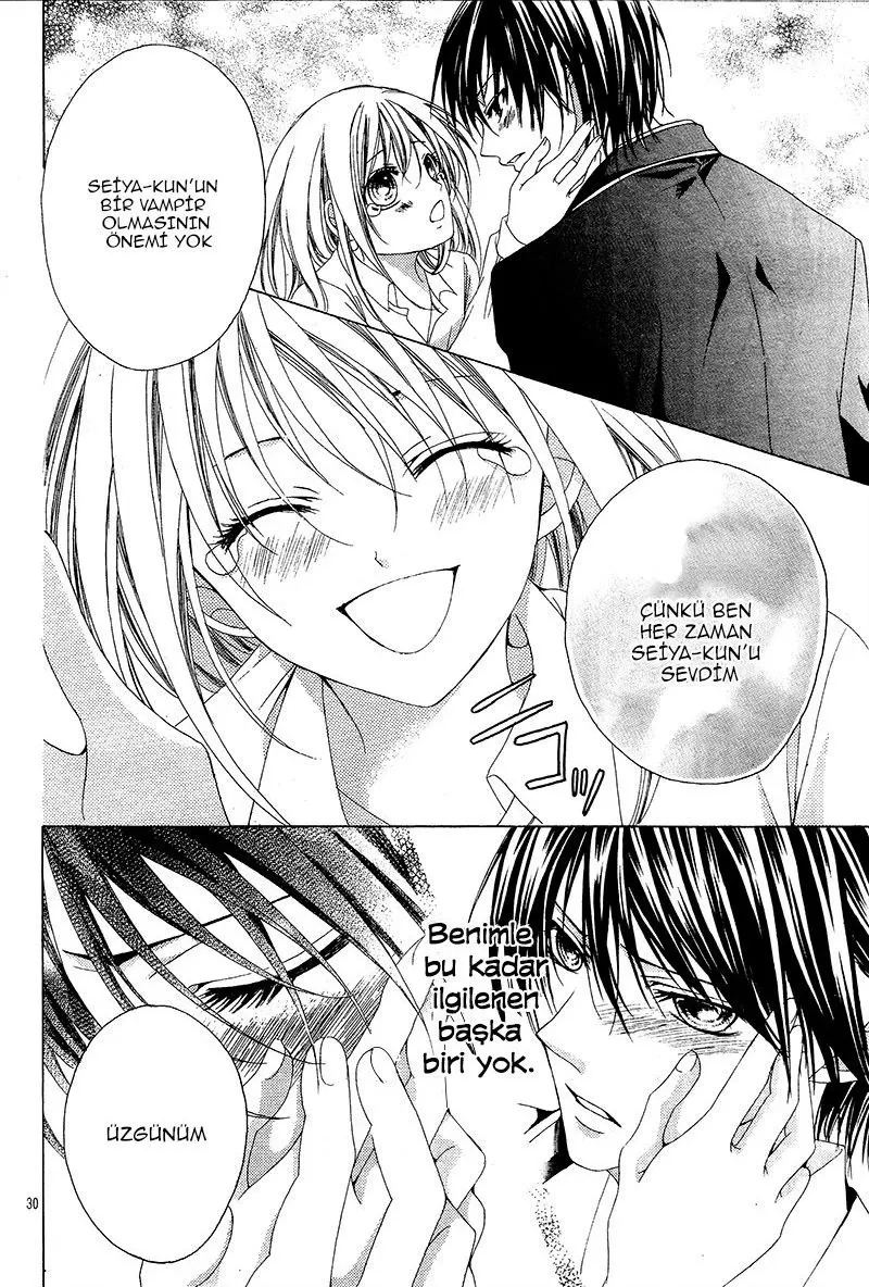 Sayfa 30