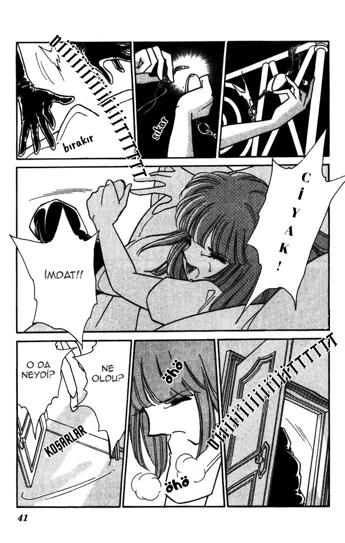 Sayfa 39