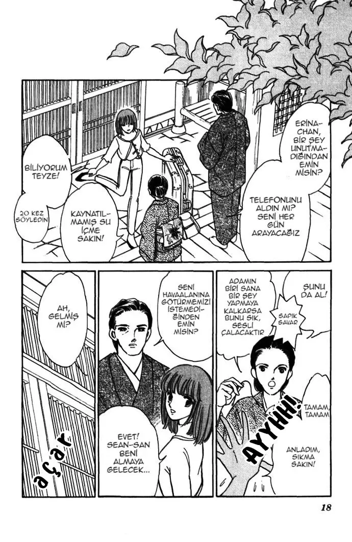 Sayfa 17