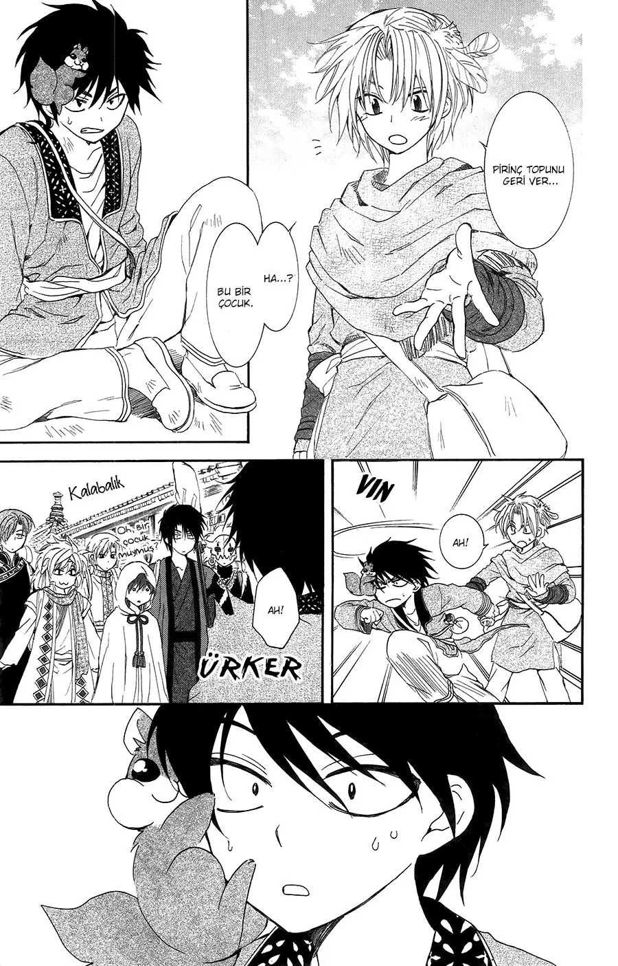 Sayfa 17