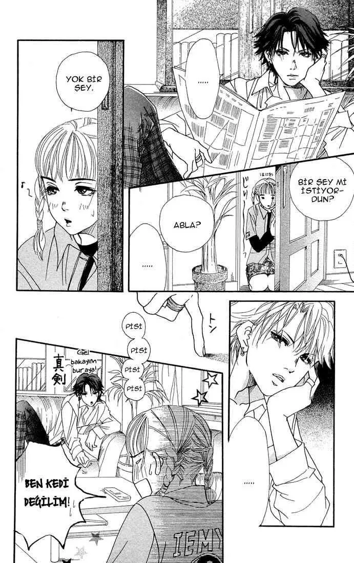Sayfa 13