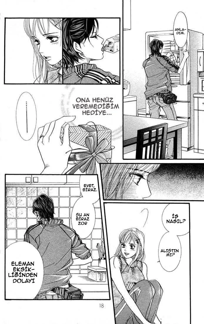 Sayfa 17