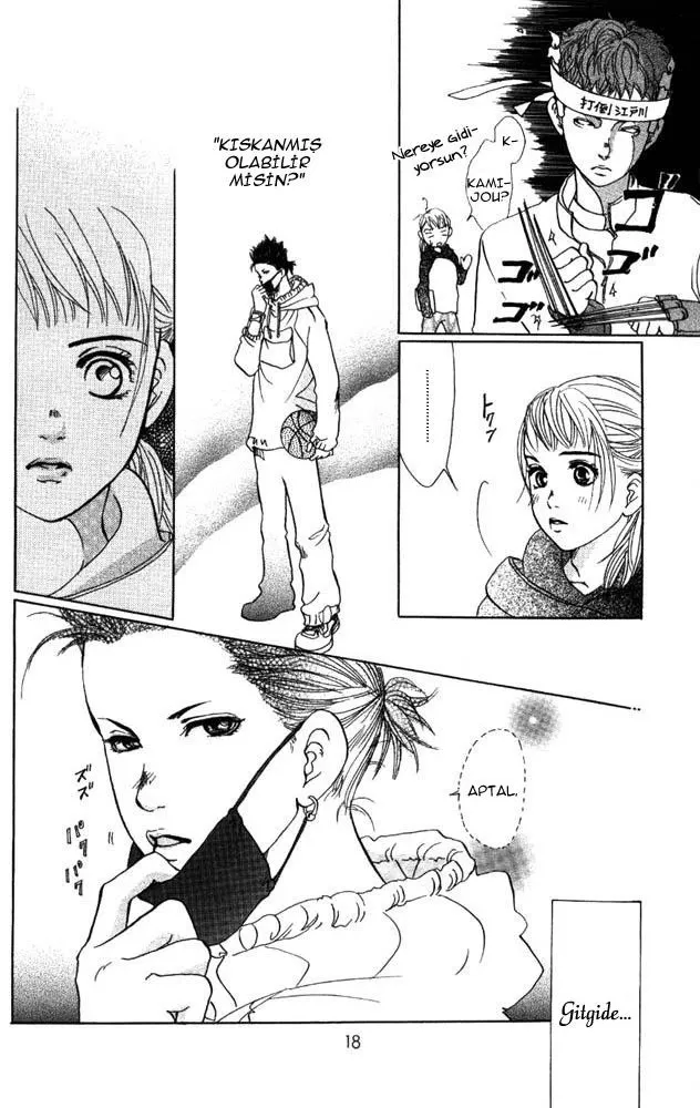 Sayfa 17