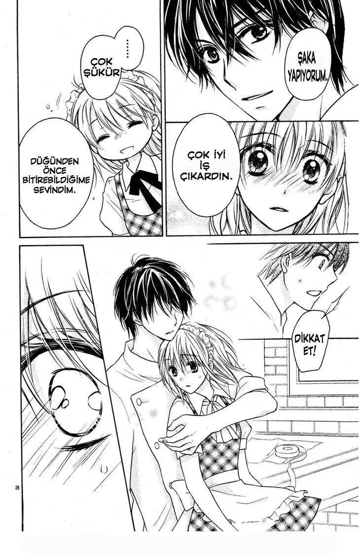 Sayfa 26