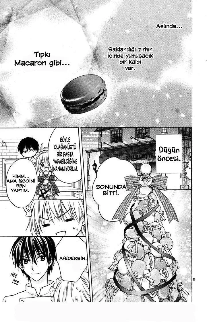 Sayfa 25
