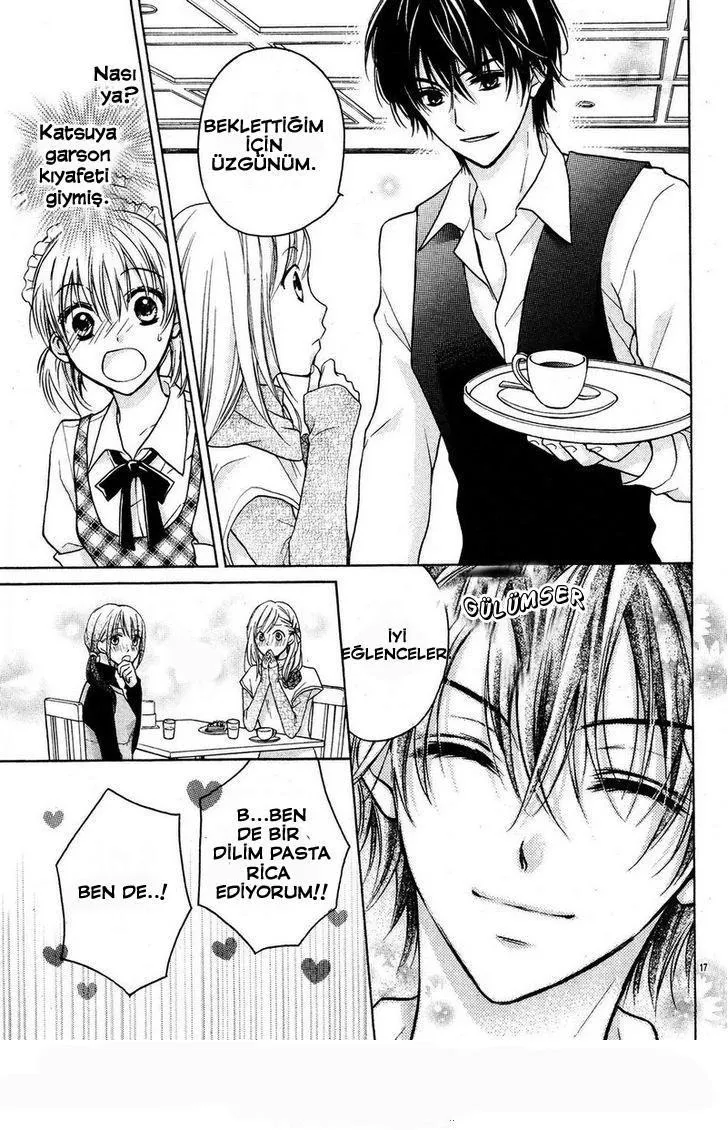 Sayfa 17