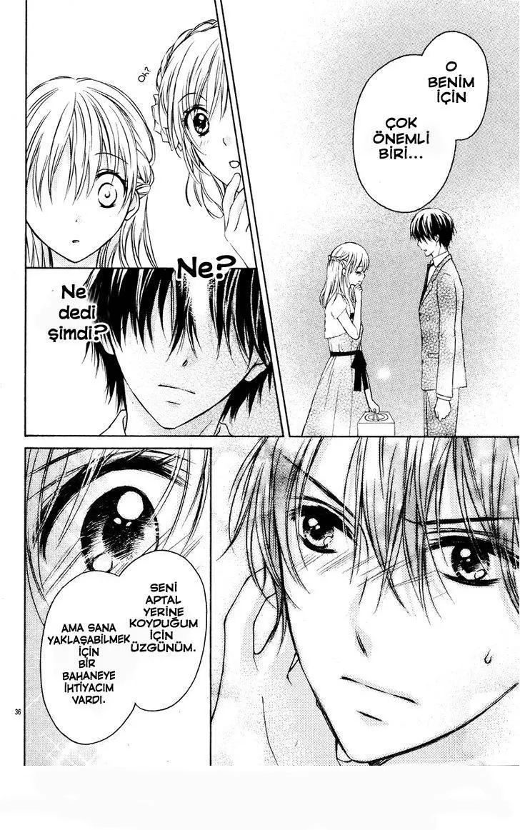 Sayfa 36