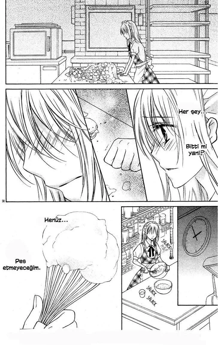 Sayfa 30