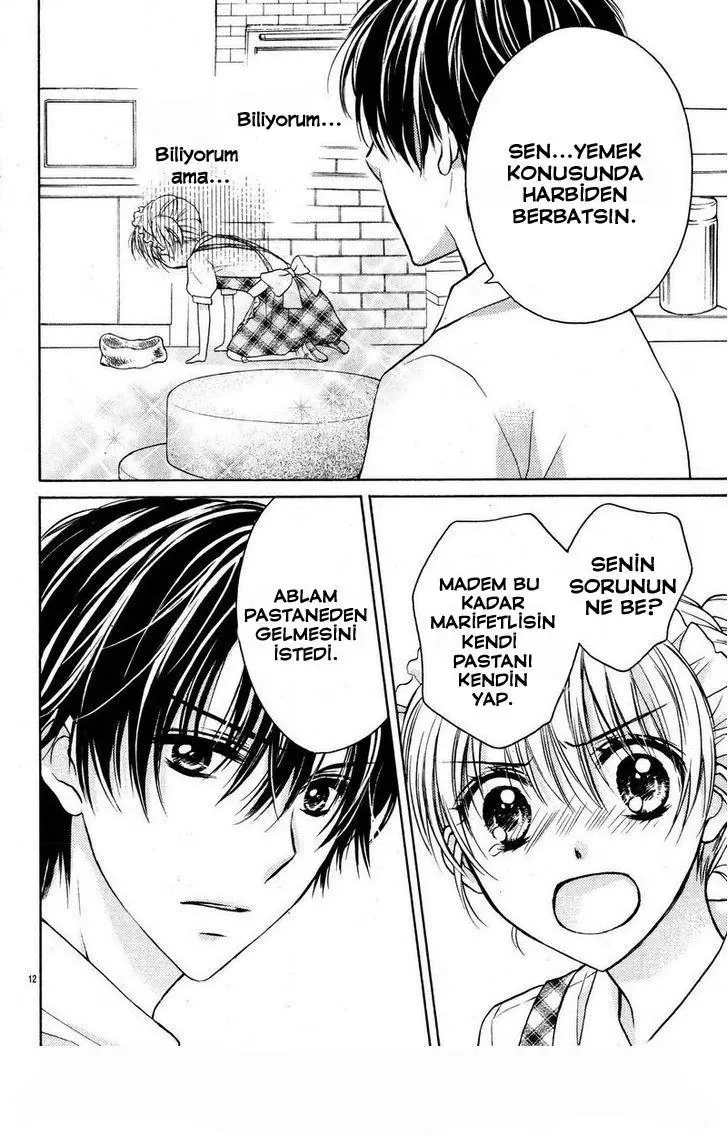 Sayfa 12