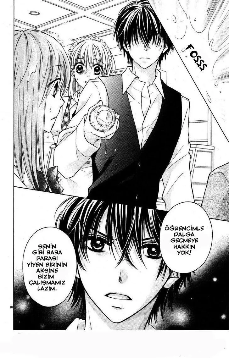 Sayfa 20