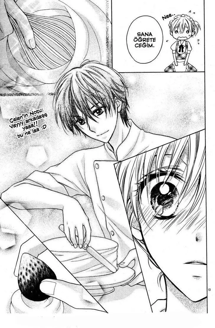 Sayfa 13