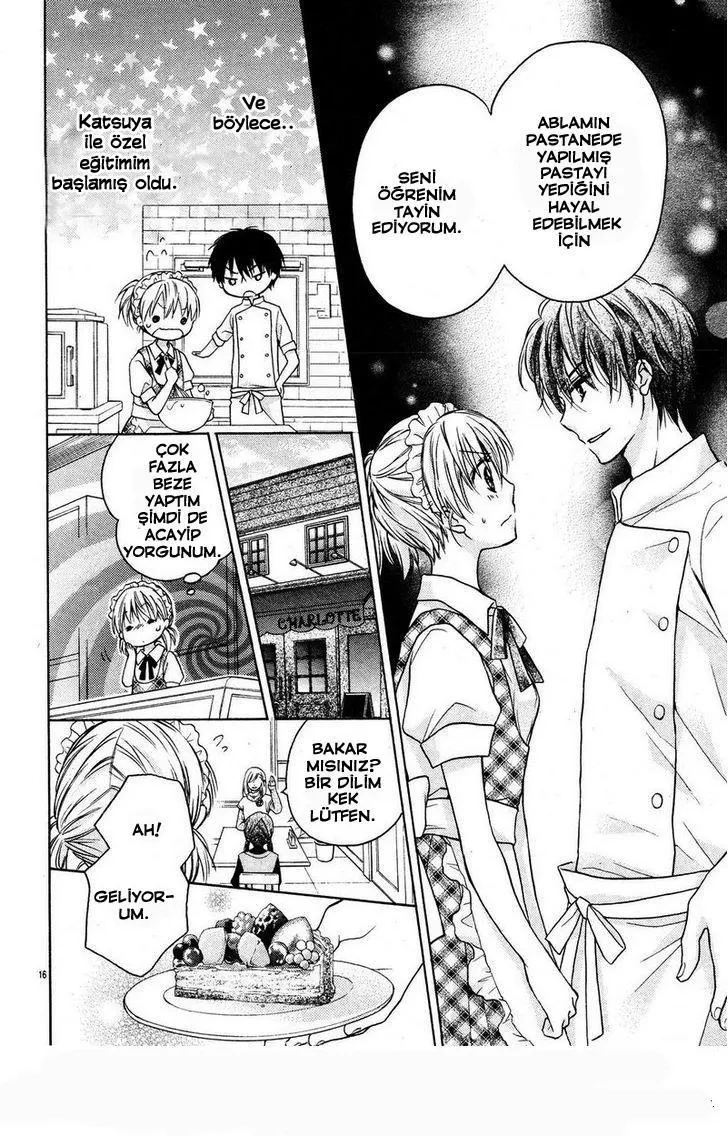 Sayfa 16