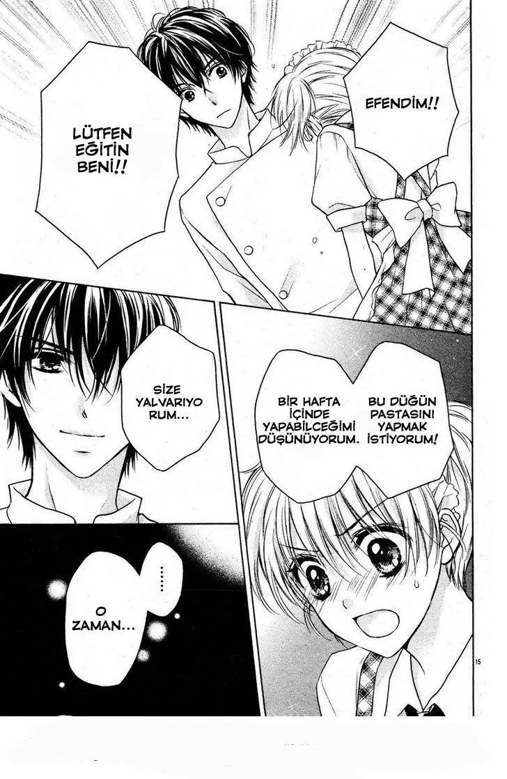 Sayfa 15