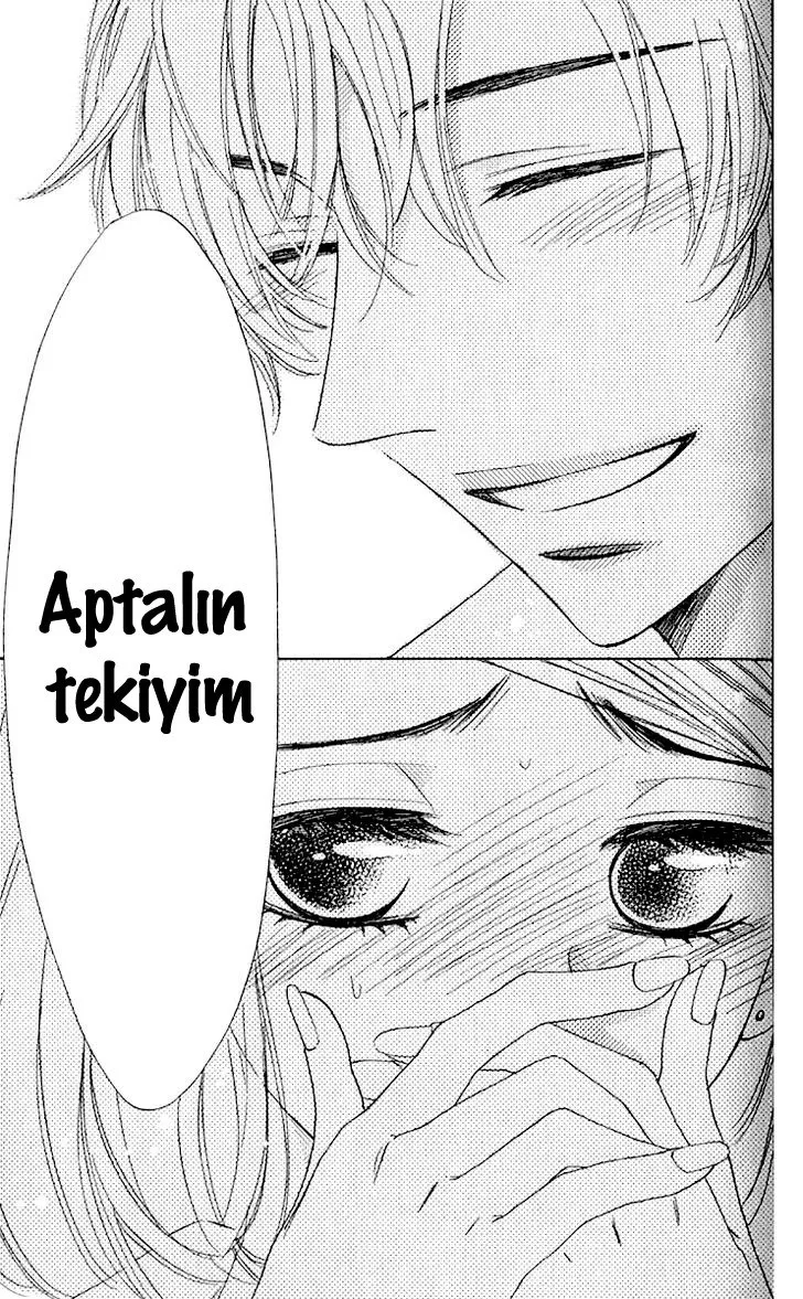 Sayfa 15