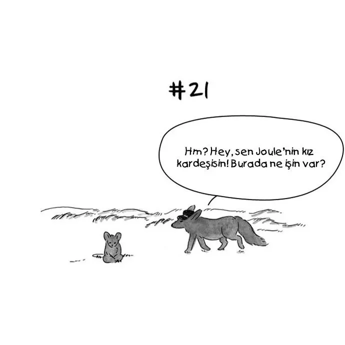 Sayfa 21
