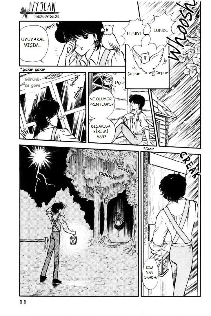 Sayfa 11