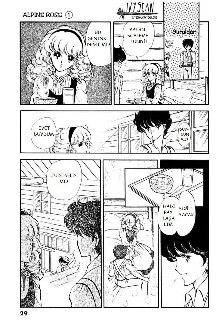 Sayfa 29