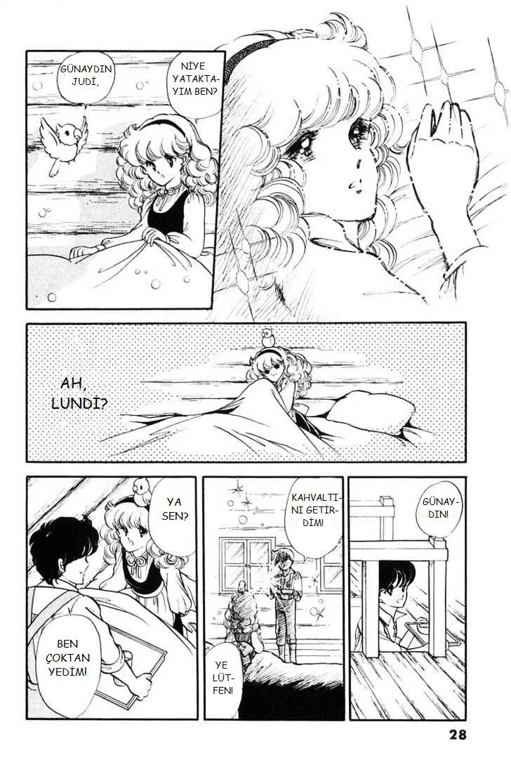 Sayfa 28