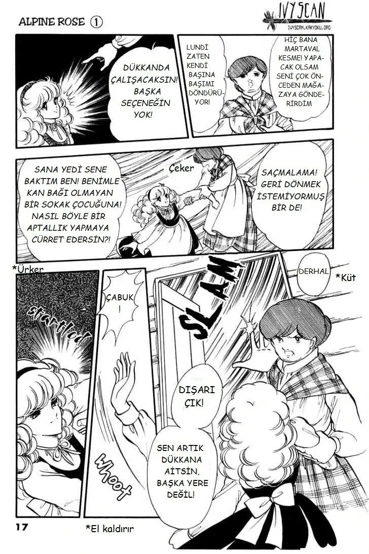 Sayfa 17