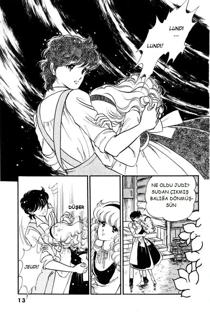 Sayfa 13