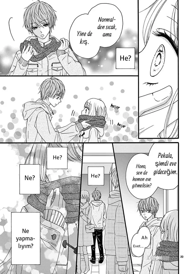 Sayfa 21