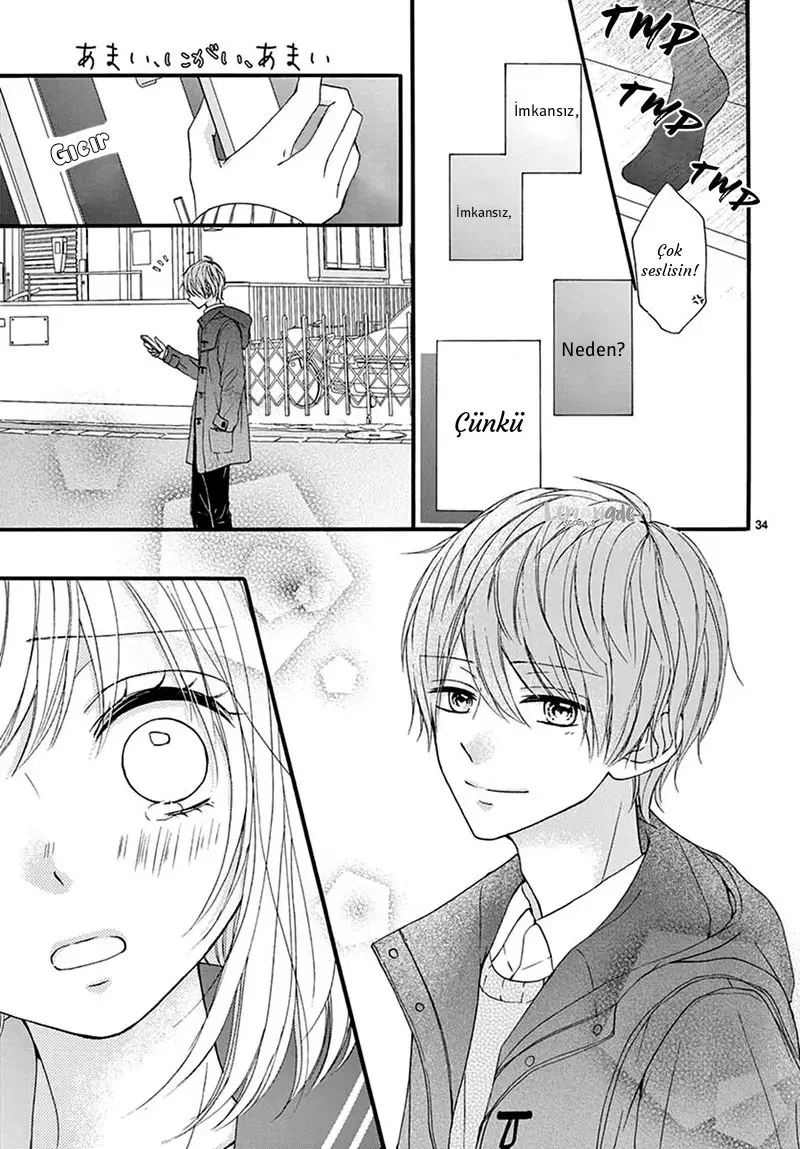 Sayfa 35