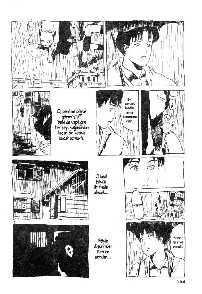 Sayfa 6