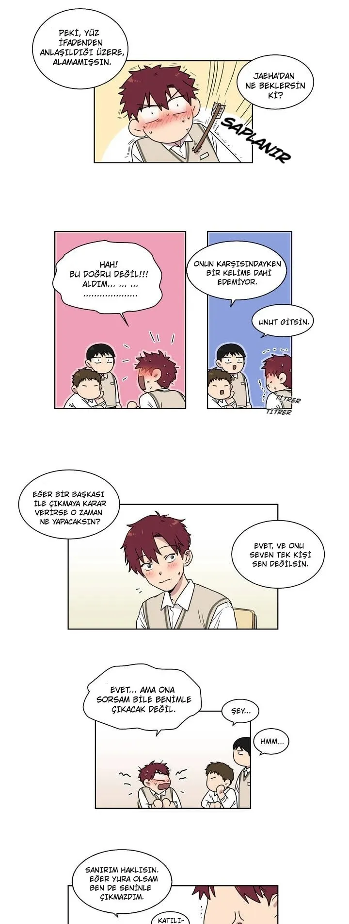 Sayfa 13