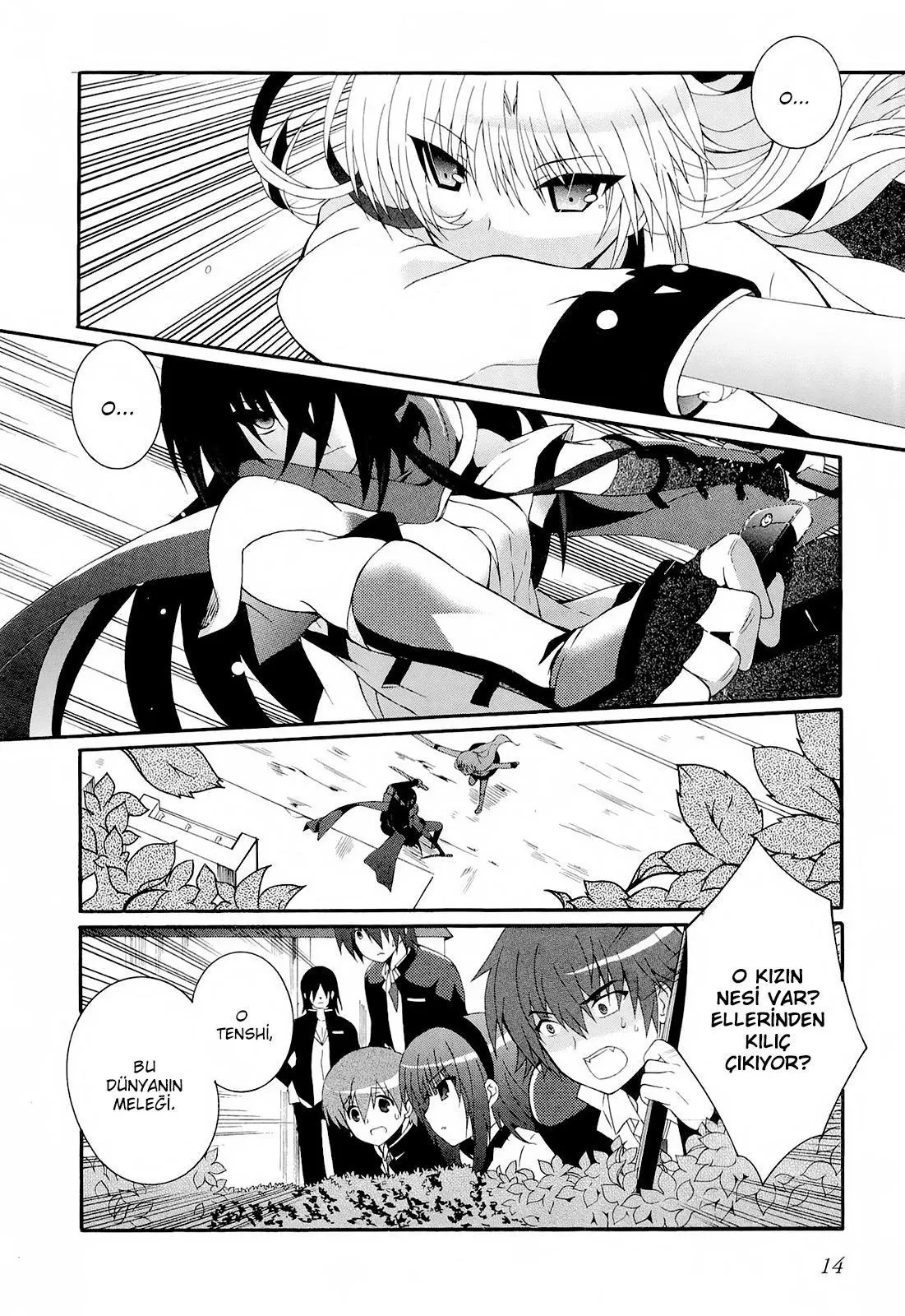 Sayfa 14