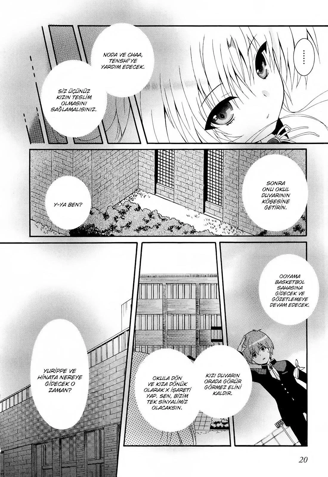 Sayfa 20