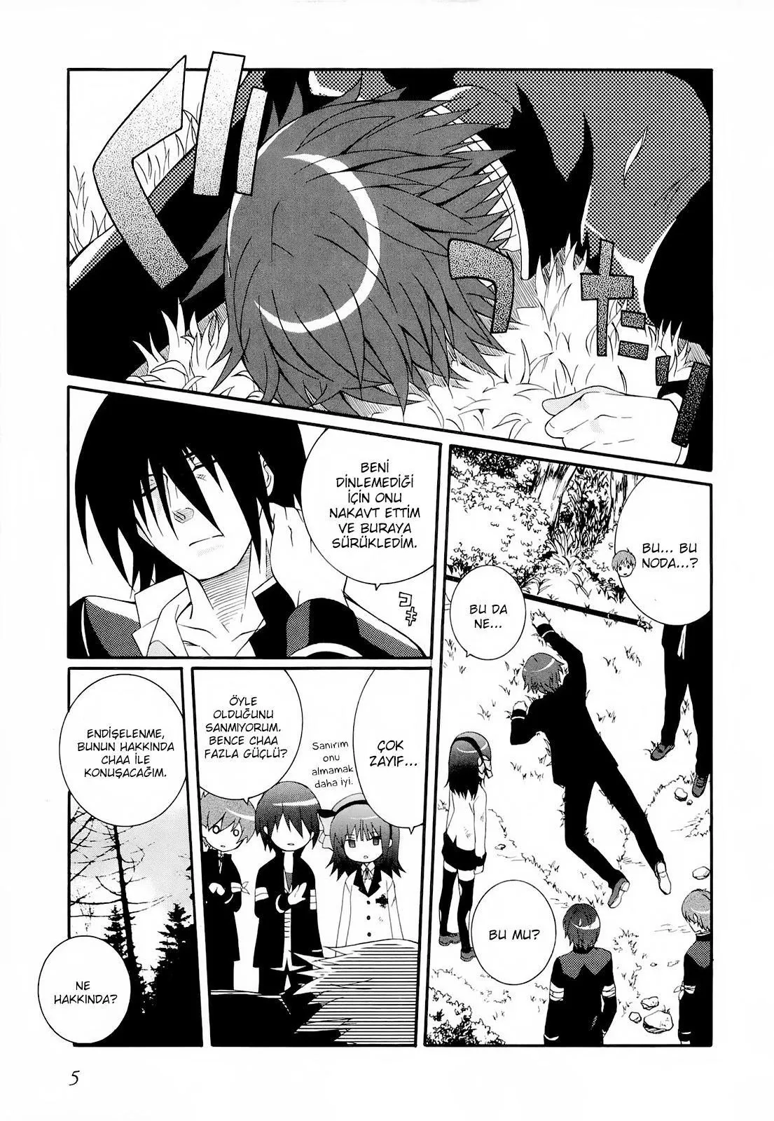 Sayfa 5