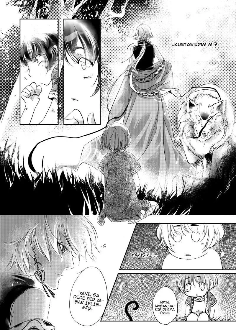 Sayfa 13