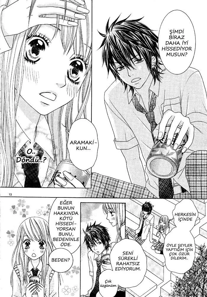 Sayfa 13