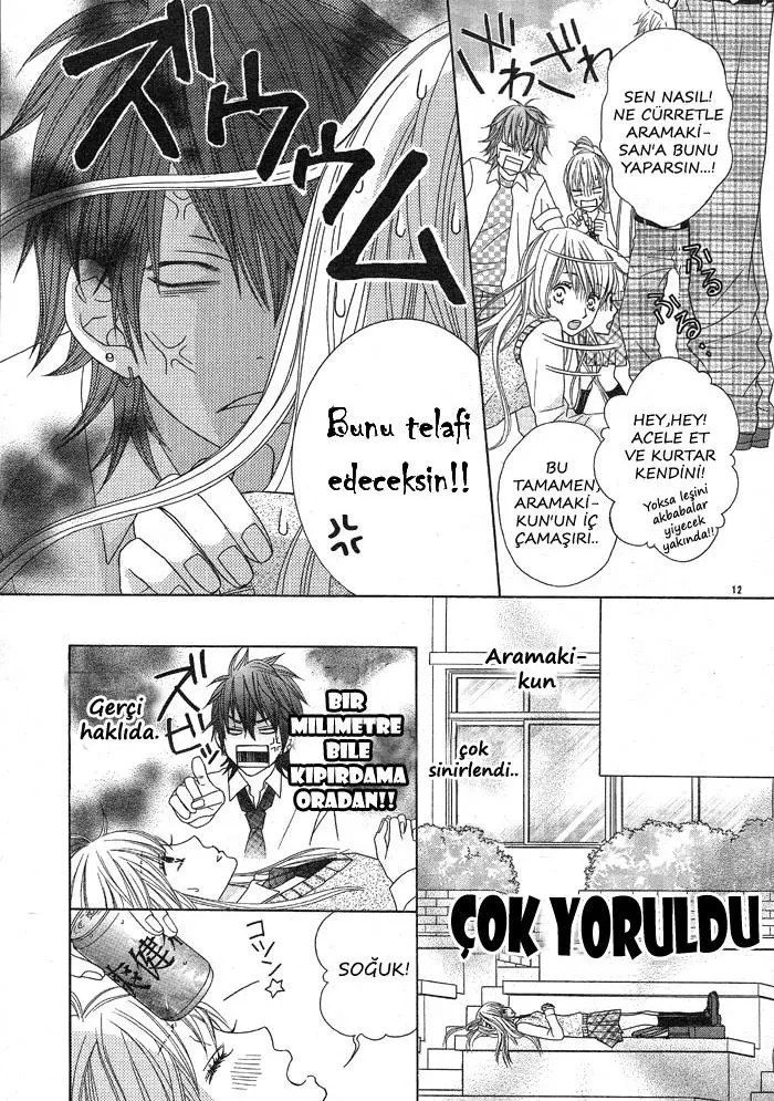 Sayfa 12