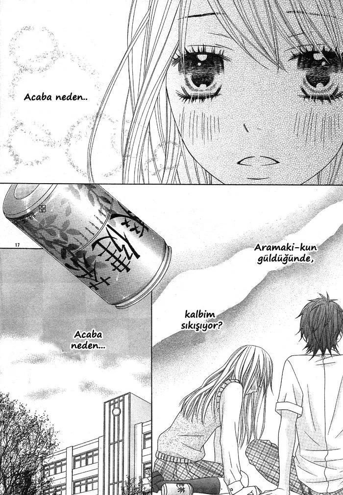 Sayfa 17