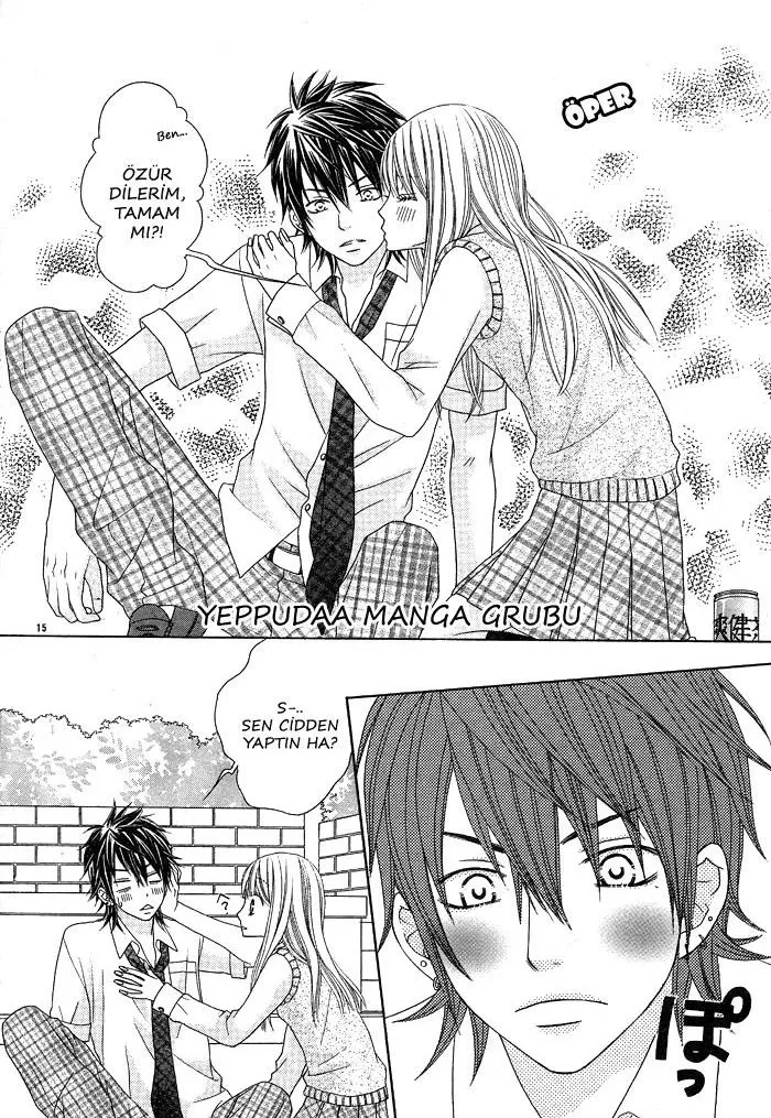 Sayfa 15