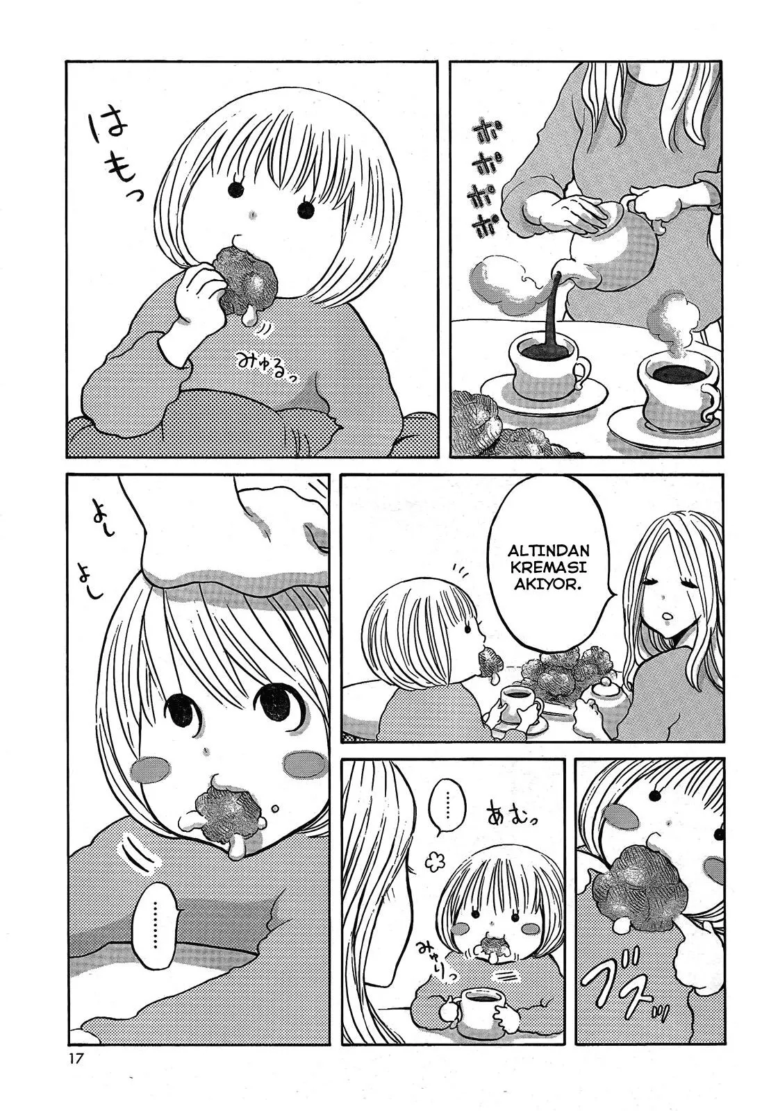 Sayfa 17