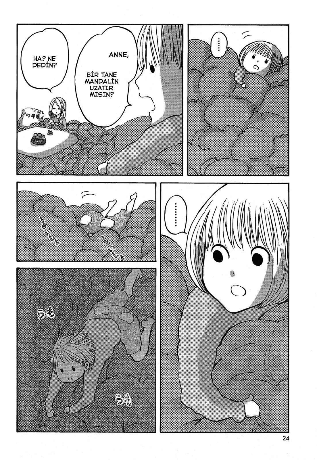 Sayfa 24