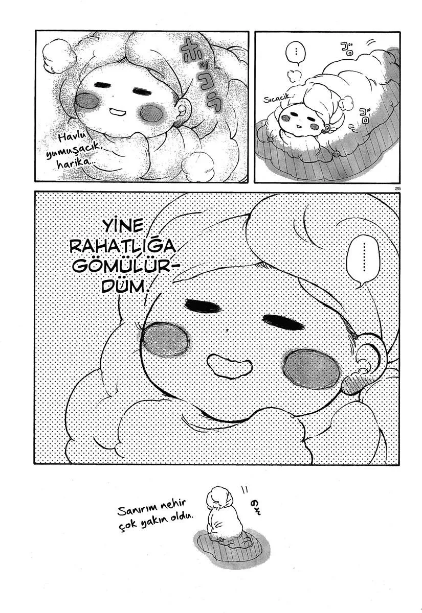 Sayfa 26