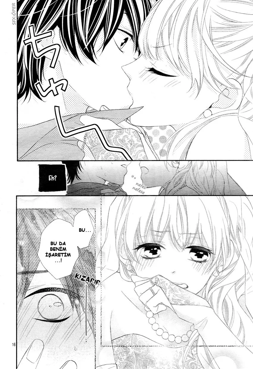 Sayfa 17